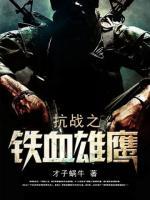 抗戰(zhàn)之鐵血雄鷹