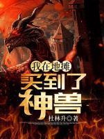 我在地?cái)傎I到了神獸