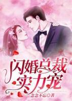 閃婚總裁實力寵
