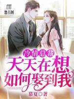 冷情總裁天天在想如何娶到我