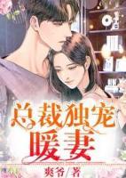 總裁獨(dú)寵暖妻