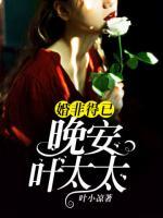 婚非得以：晚安，葉太太