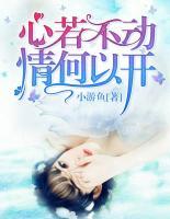 心若不動情何以開