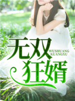 無(wú)雙狂婿