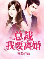 總裁，我要離婚！