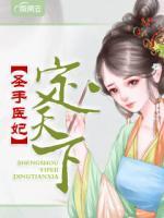 圣手醫(yī)妃定天下