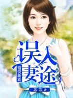 錯愛新歡：誤入妻途