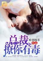 總裁，撩你有毒