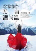 欠我青春無(wú)言酒尚溫