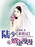 婚途漫漫：陸少求放過