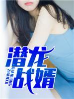 潛龍戰(zhàn)婿