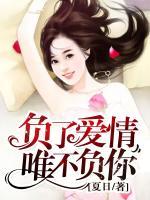 負了愛情，唯不負你
