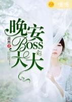 晚安，BOSS大大