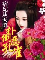 痞妃從天降：撲倒惡孔雀