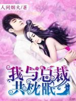 我與總裁共枕眠