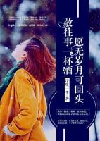 敬往事一杯酒，愿無歲月可回頭