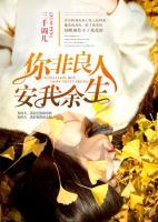 你非良人，安我余生