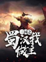 三國(guó)之蜀漢爭(zhēng)霸
