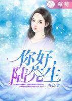 你好，陸先生
