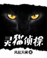 靈貓偵探