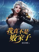 我真不是敗家子
