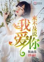 來不及說我愛你