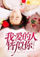 我愛的人皆似你