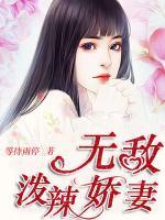 無(wú)敵潑辣嬌妻