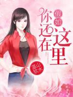 假如你還在這里