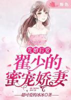 先婚后愛：翟少的蜜寵嬌妻
