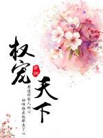 權(quán)寵天下