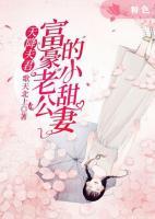 天降夫君，富豪老公的小甜妻