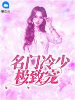 名門冷少極致寵
