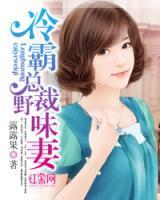 冷霸總裁霸道妻