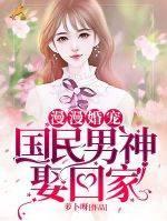 漫漫婚寵:國民男神娶回家