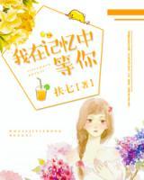 我在記憶中等你