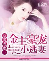 豪寵逃妻