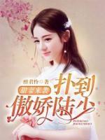 甜妻來襲，撲到傲嬌陸少