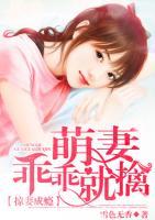 掠妻成癮：萌妻乖乖就擒