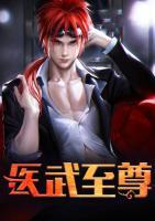 醫(yī)武至尊