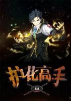 護花高手